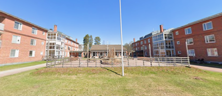 image_2026-02-12_083729999